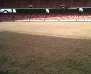 abuja national stadium pitch~9