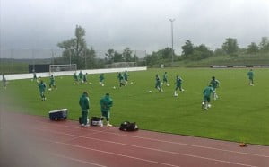 Super Eagles in Germany