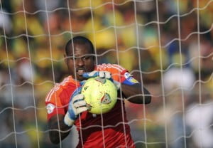 Enyeama claws out